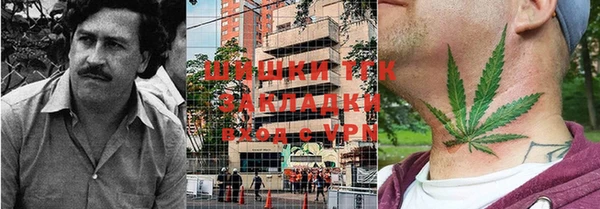 тгк Абинск
