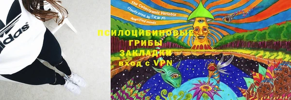 тгк Абинск