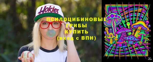 индика Абдулино