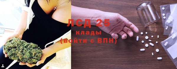 шишки Алексин